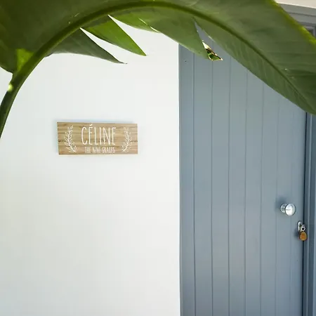 The Nine Graces- Céline, Elegant House With Pool, Garden&rooftop Villa Kastrákion