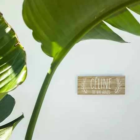 The Nine Graces- Céline, Elegant House With Pool, Garden&rooftop *
