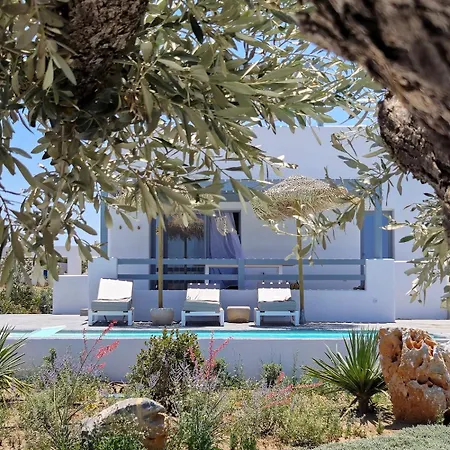 The Nine Graces- Céline, Elegant House With Pool, Garden&rooftop Villa